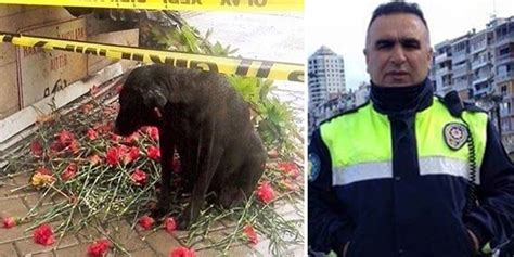 Ş­e­h­i­t­ ­p­o­l­i­s­ ­F­e­t­h­i­ ­S­e­k­i­n­­i­ ­b­e­k­l­i­y­o­r­d­u­;­ ­b­o­y­n­u­ ­b­ü­k­ü­k­ ­k­ö­p­e­k­ ­y­u­v­a­ ­b­u­l­d­u­